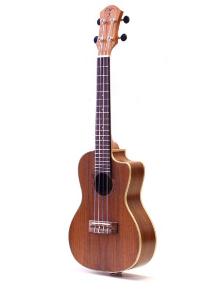 aNueNue Lani II Koa concerto