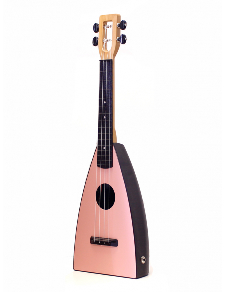 Fluke Bubblegum concerto amplificato