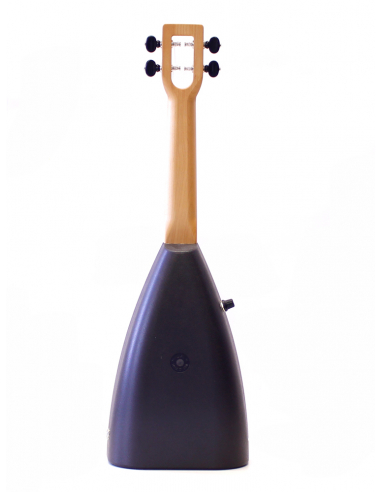 Fluke Bubblegum concerto amplificato