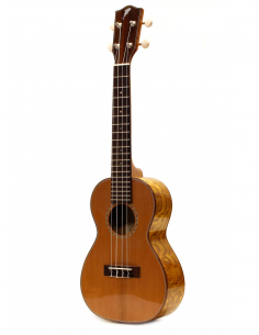 Mahimahi Willow Concert