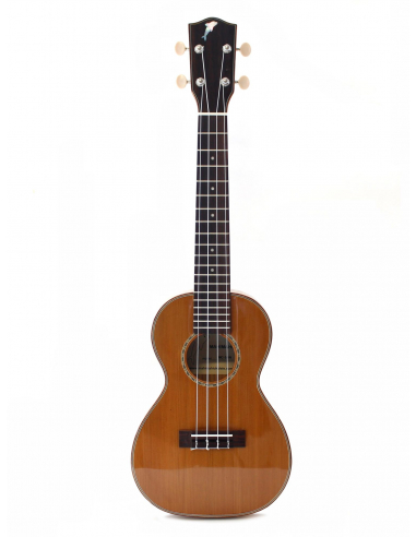 Mahimahi Willow Concert