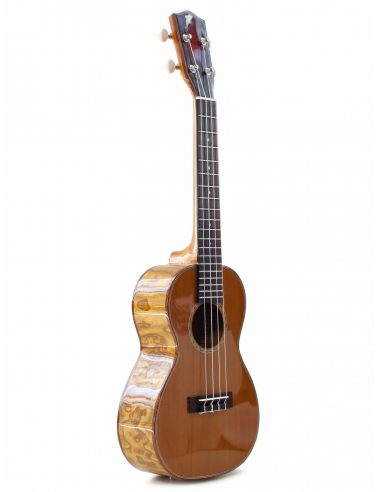 Mahimahi Willow Concerto