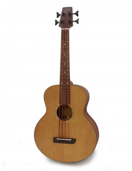 shortbassone 12 Fretless