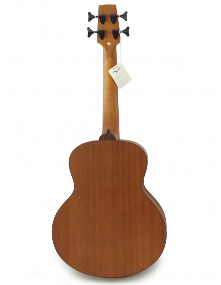 shortbassone 12 Fretless