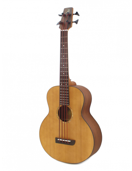 shortbassone 12 Fretted