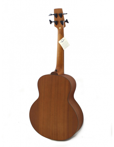 shortbassone 12 Fretted