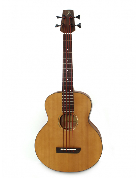 shortbassone 12 Fretted