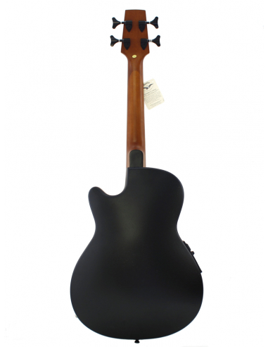 ShortbassOne 60 Fretted