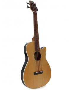 shortbassone 60 Fretless