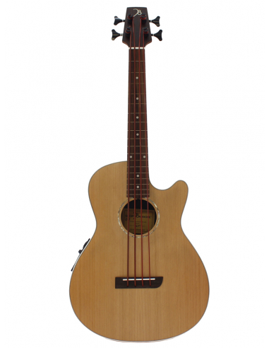 shortbassone 60 Fretless