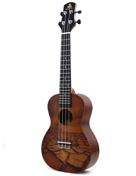 Mahi Visual Concert 2 Deserto matt