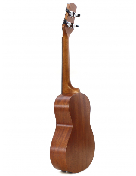 Mahi Visual Concert FLower 3 gloss