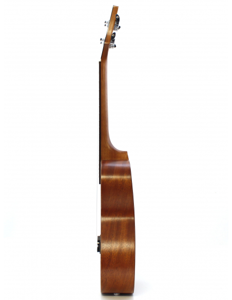 Mahi Visual Concert FLower 3 gloss