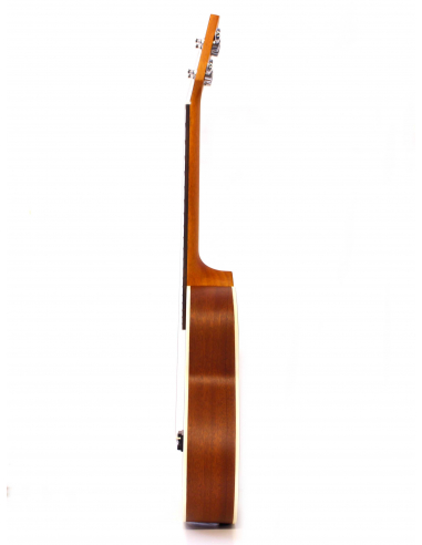 Mahimahi Tenor solid top Mahogany