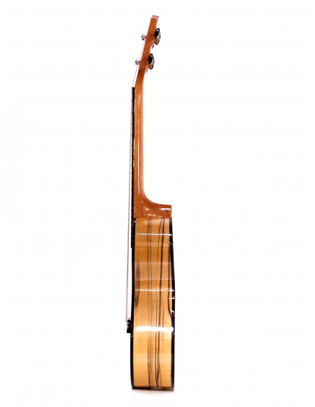 Mahimahi 70Z concert spruce and ebony white