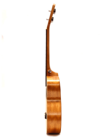Koki'o Spruce-Mahogany Tenore