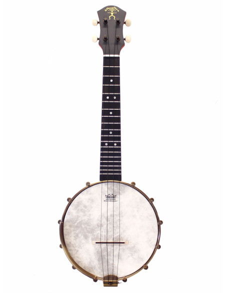 aNueNue banjo concerto amplificato