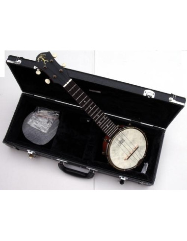 aNueNue banjo concerto amplificato