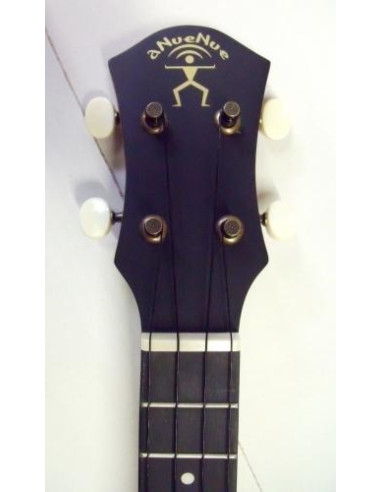 aNueNue banjo concerto amplificato