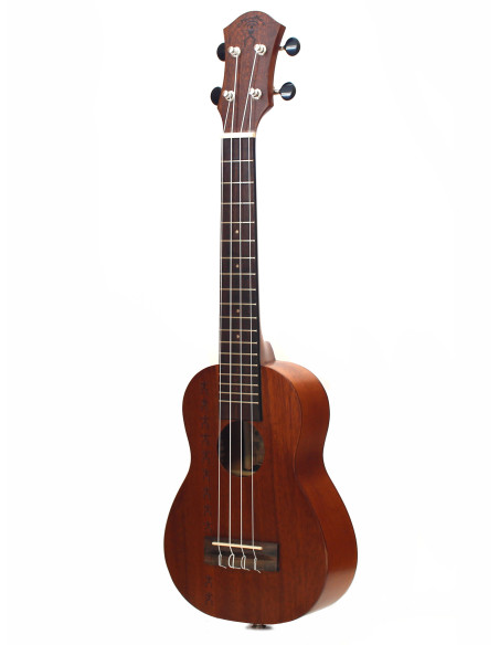 aNueNue Papa Mahogany Long Neck amplificato
