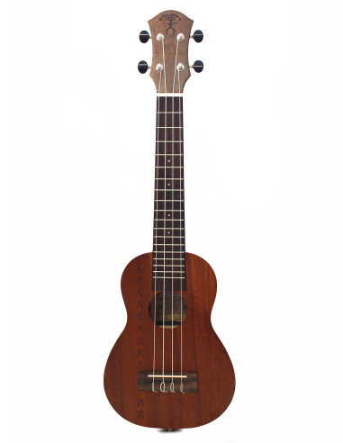 aNueNue Papa Mahogany Long Neck amplificato