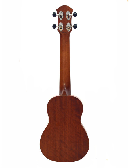 aNueNue Papa Mahogany Long Neck amplificato
