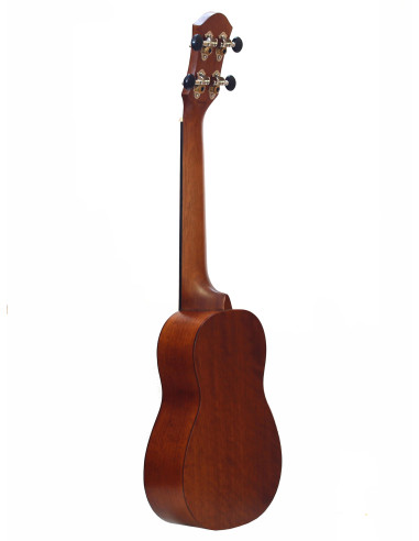 aNueNue Papa Mahogany Long Neck amplificato