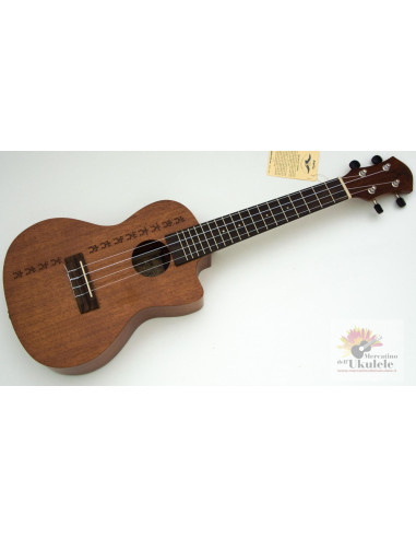 aNueNue Papa II Mahogany concert AMPL. cutaway