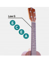 Concert key of C - GCEA - Low G