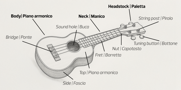 The Anatomy of the Ukulele: A Beginner-Friendly Guide to Every Part of Your Instrument